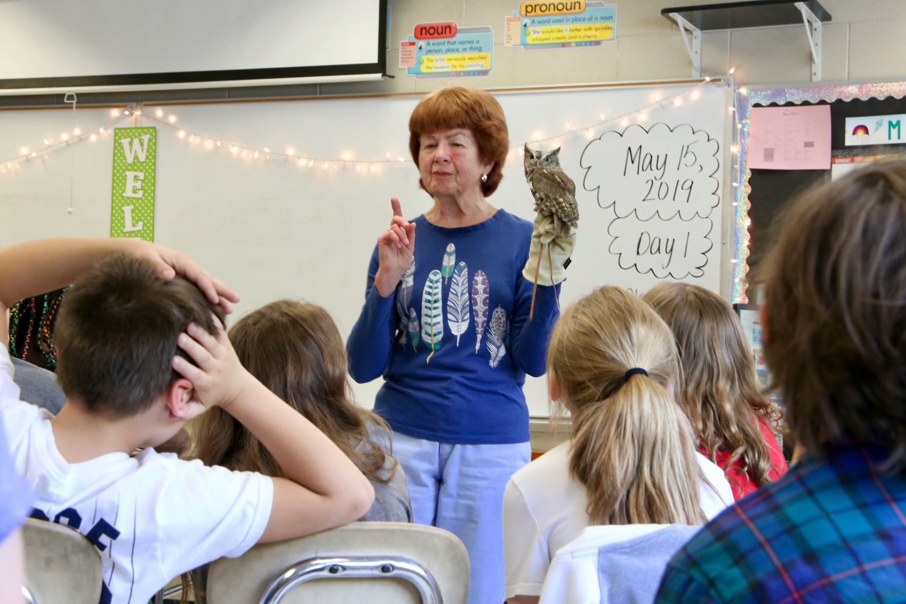Owl presentation